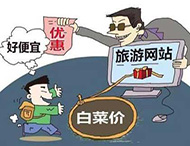 農村旅游網(wǎng)站建設及用戶(hù)體驗度的提高？