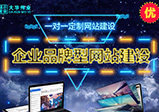 專(zhuān)業(yè)的網(wǎng)站建設公司怎么選？